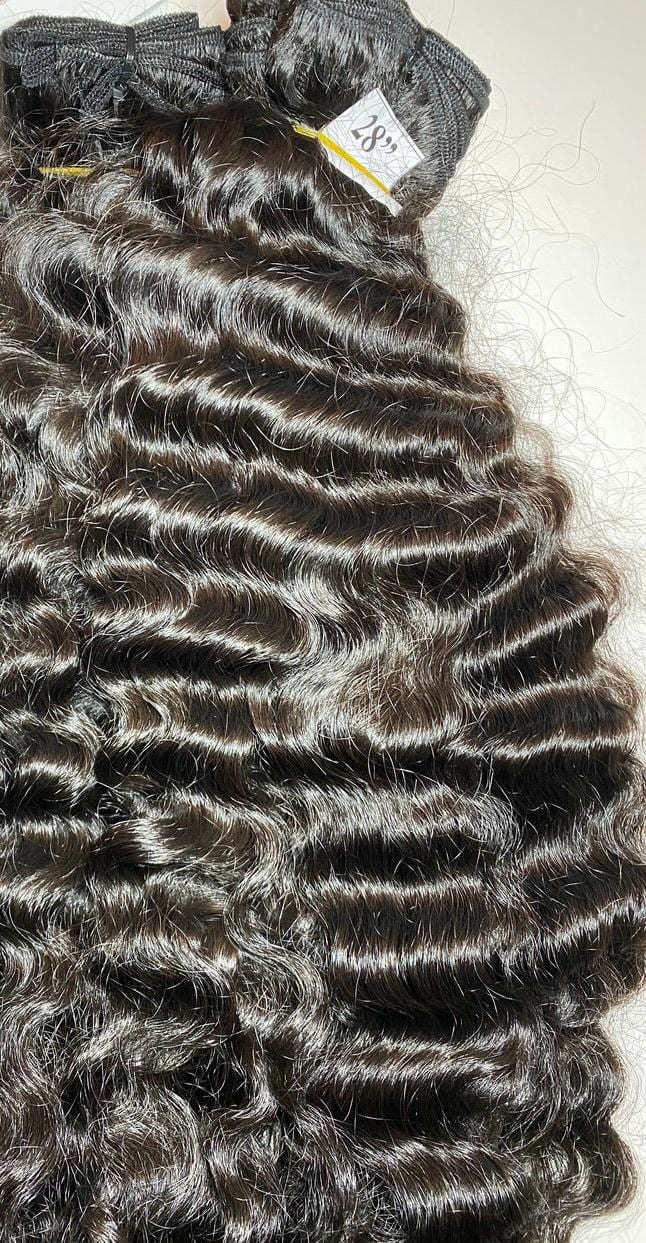 Burmese curls Bundle Deals